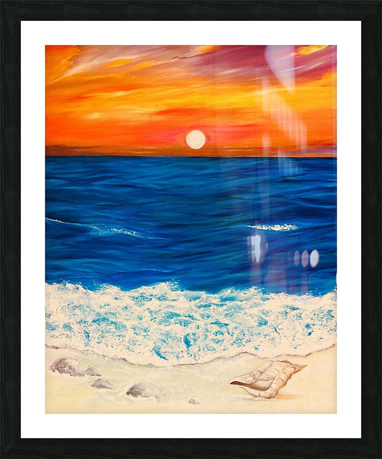Coquillage Picture Frame print