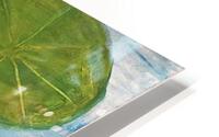 Le Lotus HD Metal print