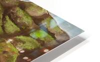 Naturelle HD Metal print