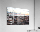 Rock Solid  Acrylic Print