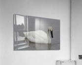 White Out Acrylic Print