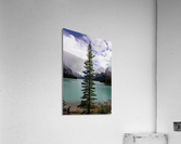 Wonderland Acrylic Print