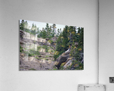 Goat  Acrylic Print