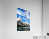 Crisp Acrylic Print