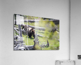 Keep Up Acrylic Print