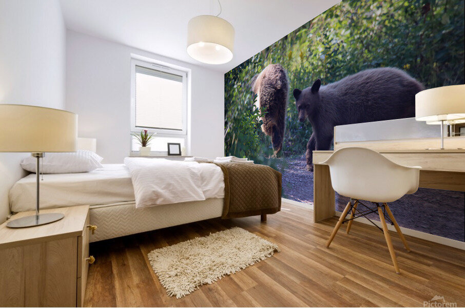 Curious Bear Mural print