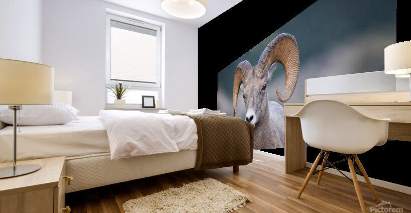 Ram Mural print