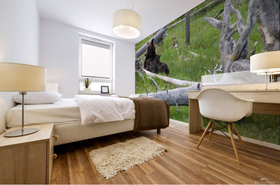 Mama Bear Mural print