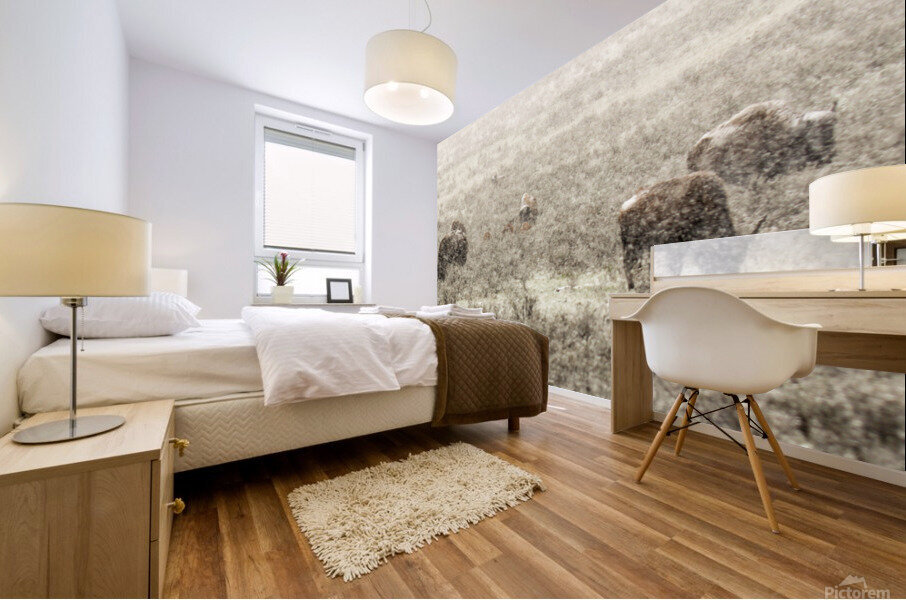 Snow Buffalo Mural print