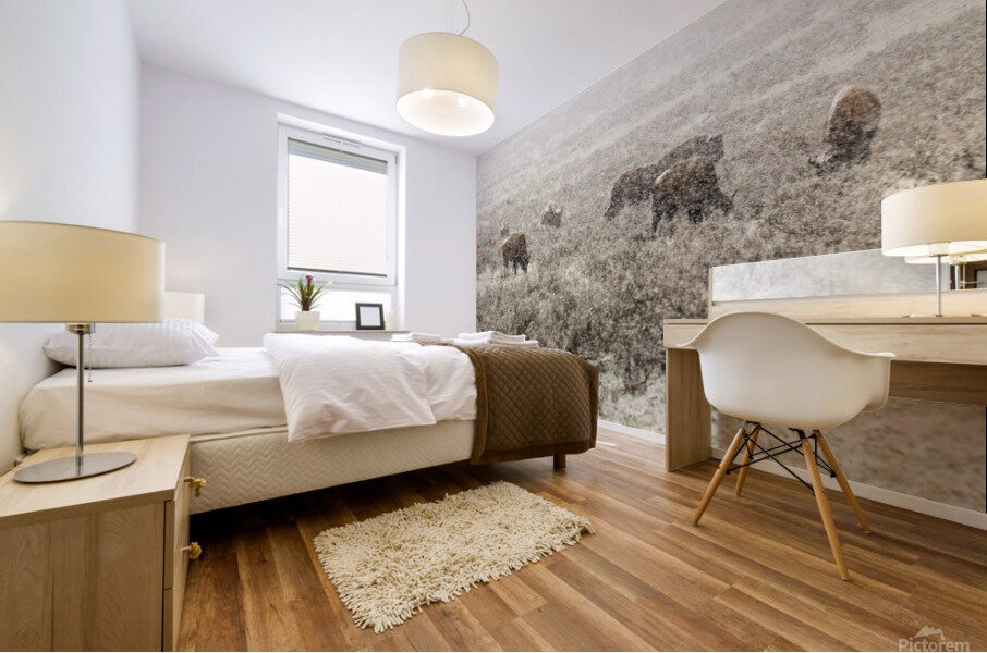 Snow Buffalo Mural print
