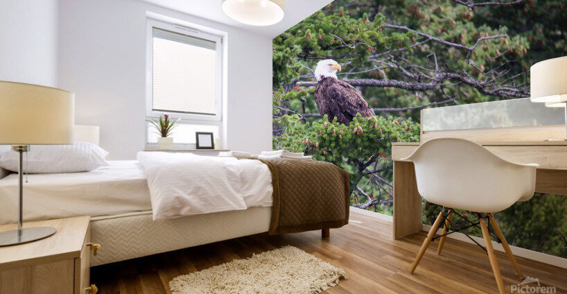 Bald Eagle Mural print