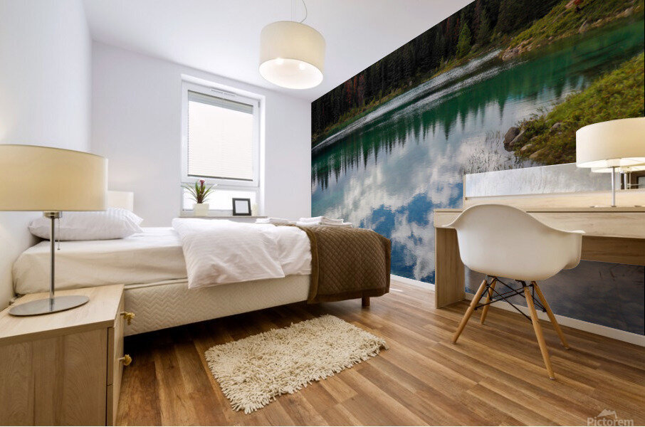 Upside Down Mural print