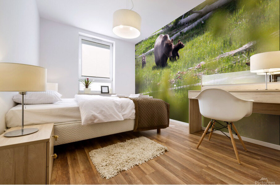 Behind the Scene Mural print