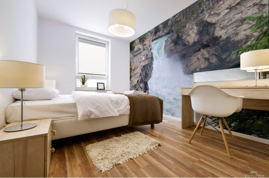 Sunwapta Falls Mural print