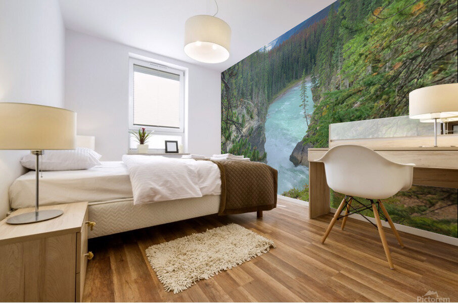 Up Stream Mural print