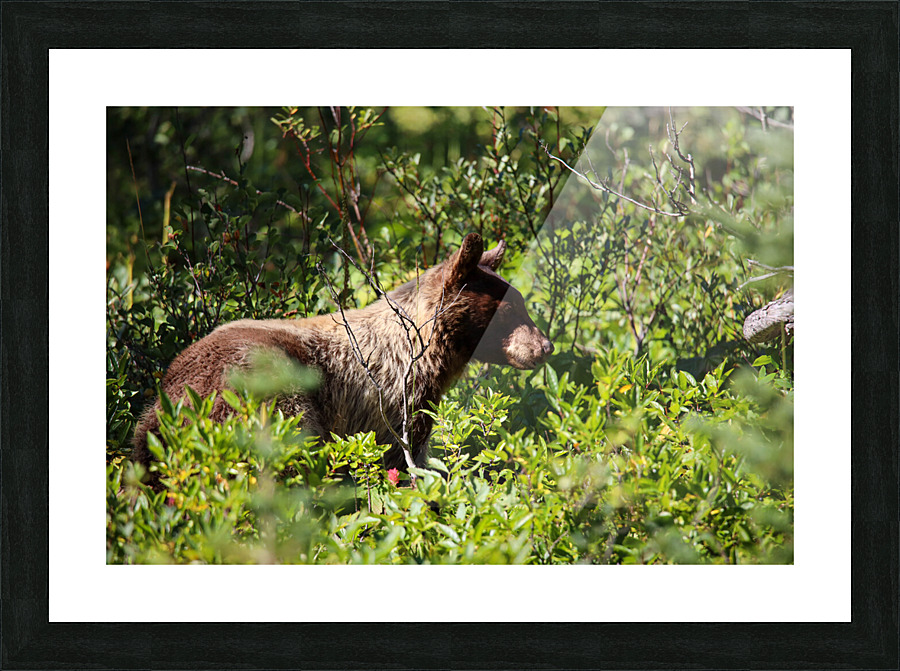 In the Brush Picture Frame print