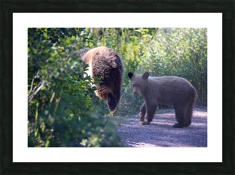 Curious Bear Picture Frame print