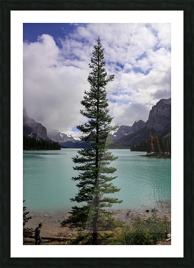 Wonderland Picture Frame print