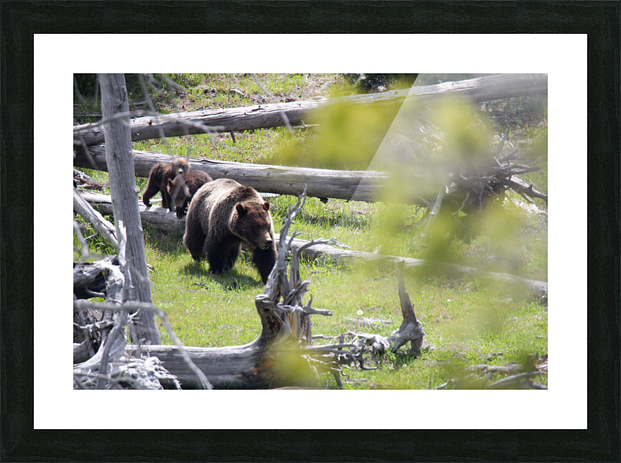 Keep Up Picture Frame print