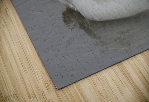 White Out Seth Felstead puzzle