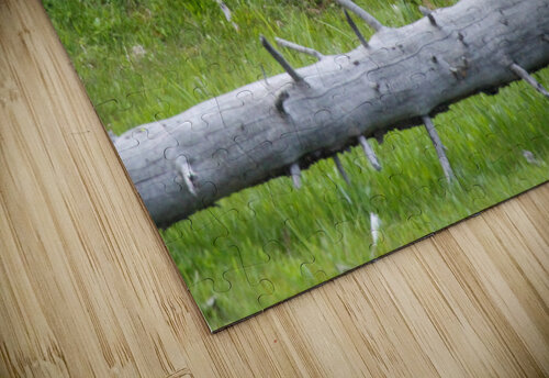 Mama Bear Seth Felstead puzzle