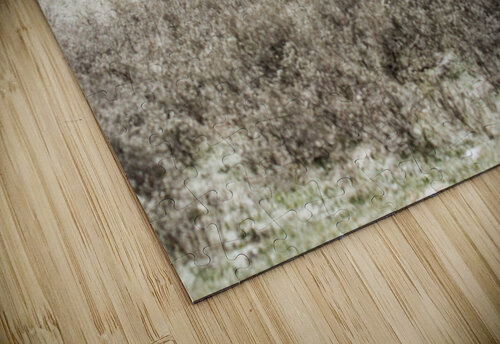 Snow Buffalo Seth Felstead puzzle