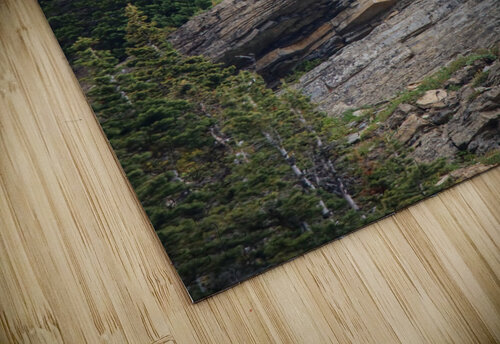 Goat Seth Felstead puzzle