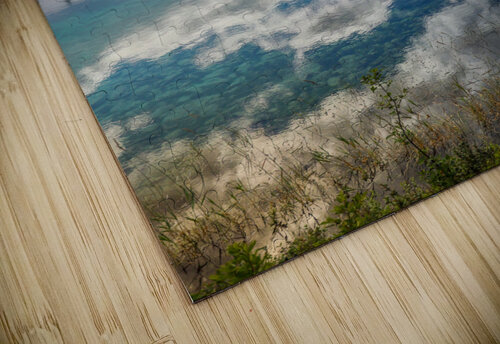 Upside Down Seth Felstead puzzle