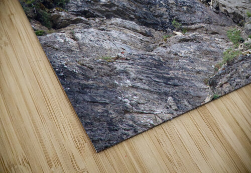 Goat Seth Felstead puzzle