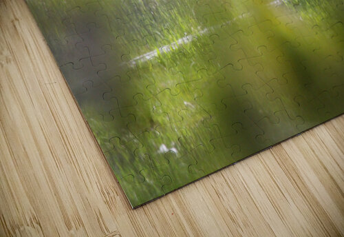 Behind the Scene Seth Felstead puzzle