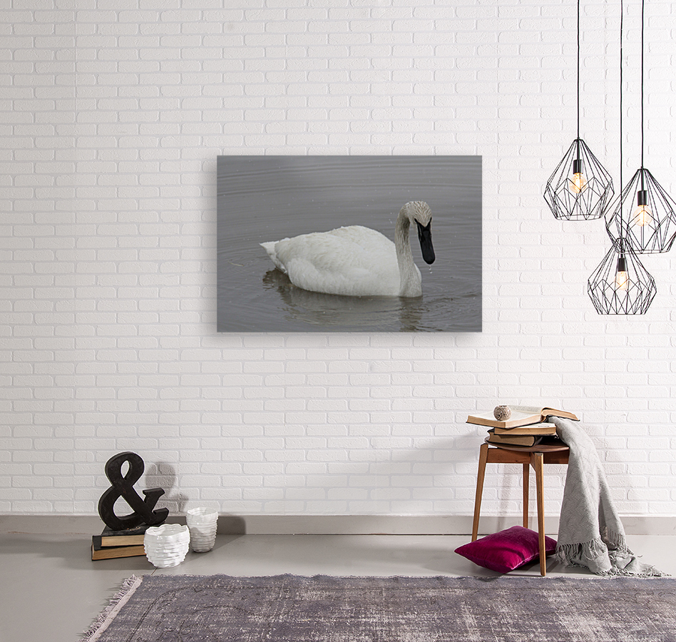 White Out Reproduction