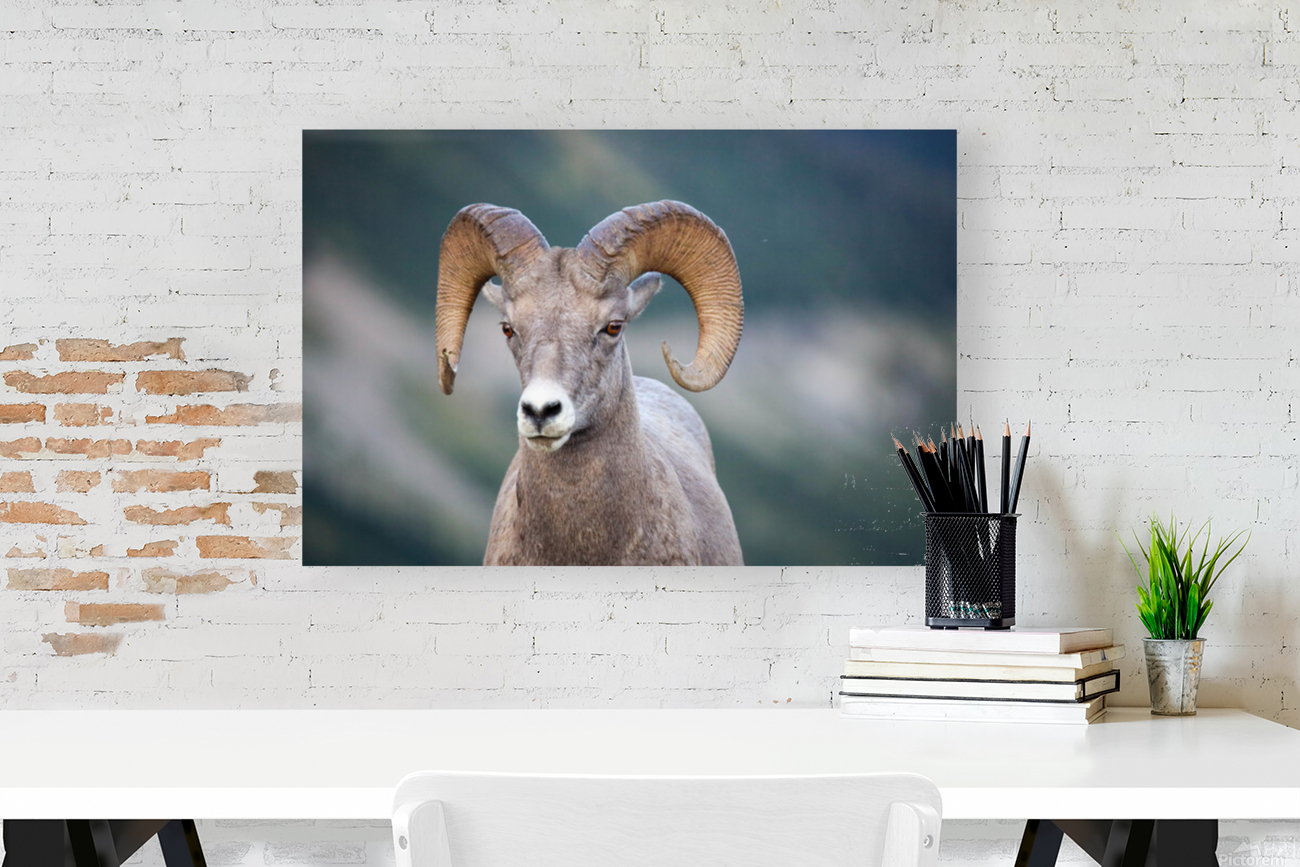 Ram Reproduction