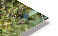 In the Brush HD Metal print