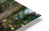 Clean Nature HD Metal print