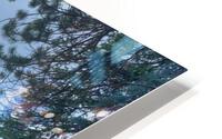 Up Stream HD Metal print