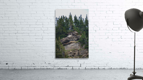 Goat Wall Preview