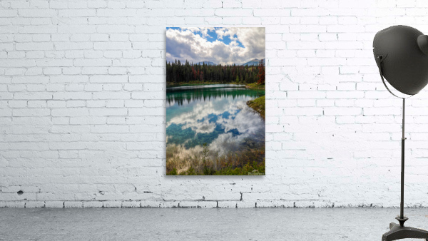 Upside Down Wall Preview