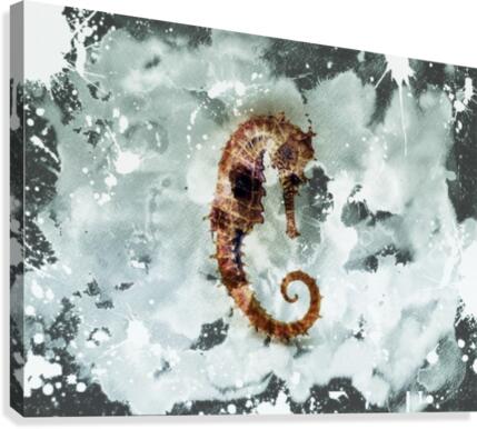 Seahorse Canvas Print