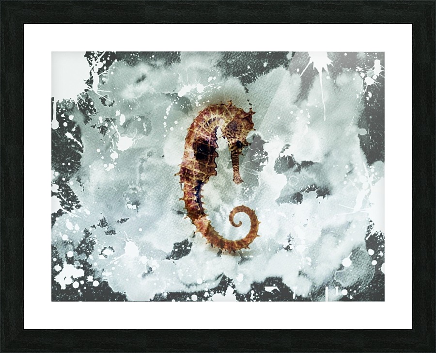 Seahorse Picture Frame print