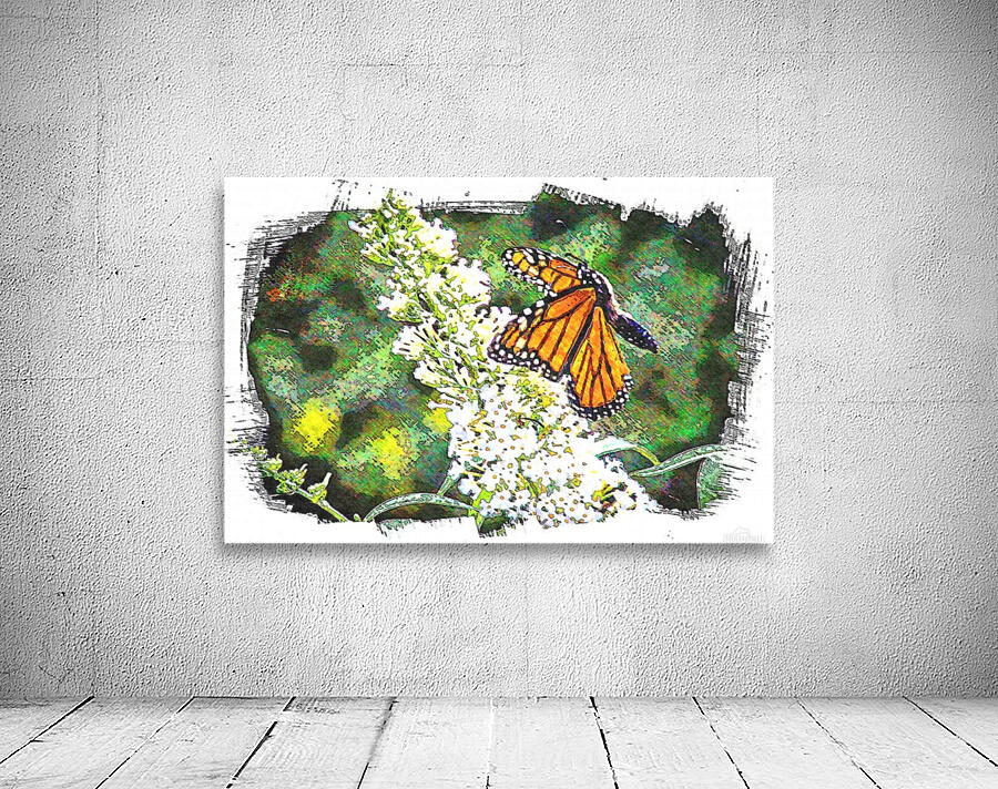 Butterfly in Flight  Wall Preview