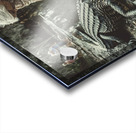 Hand Feeding Acrylic print