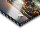 The Diplomat 2 Acrylic print