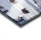 Montana 4 Acrylic print