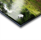 Nature   Acrylic print