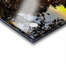 Potomac River Washington Acrylic print