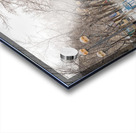 Rbat Baikonur Kazakhstan Acrylic print