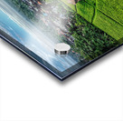 Rice field Indonesia Acrylic print