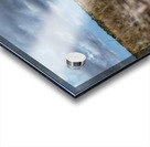 Celery field   Acrylic print