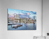 The Diplomat 10 Acrylic Print