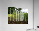 Nature   Acrylic Print